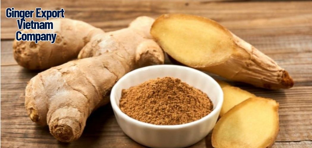 Ginger Export Vietnam Company 13