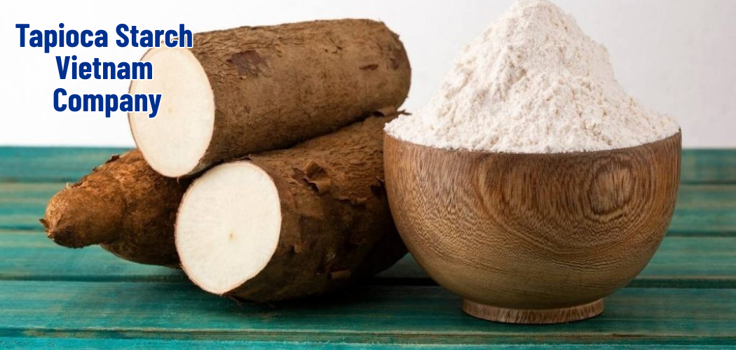 Tapioca Starch Vietnam Company 5