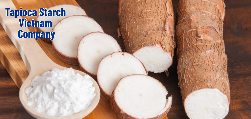 Tapioca Starch Vietnam Company